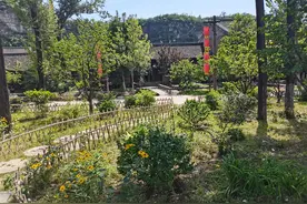 到底该不该相信算命？图片