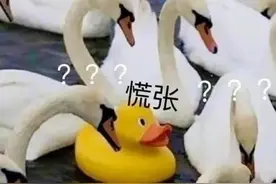 表情包 | 满头大汗图片