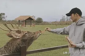 宋祖德是头号谣棍，现在没抓他是因他举报的林生斌偷税案未查清？图片