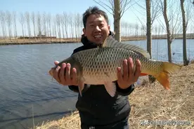 春天钓鲤鱼，四钓四不钓，效果呱呱叫，四招很重要图片