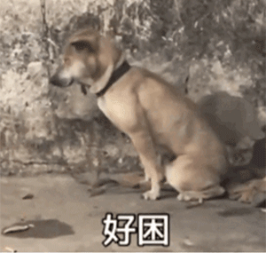 累了毁灭吧表情包