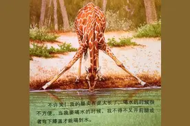 如何向孩子解释「为什么长颈鹿的脖子那么长？」图片