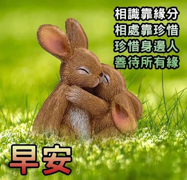 「2022.05.10」早安心语,正能量最美语录分享 早上好励志暖心短句