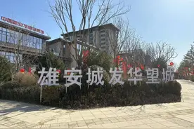 雄安新区首批商品房开卖，严苛的购房资格难掩现场火热图片
