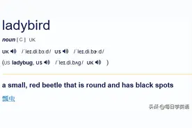 lady是“女士”，bird是“鸟”，那ladybird是什么意思？图片