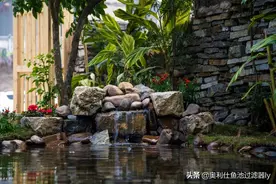 如果你有个院子，建个这样的锦鲤鱼池，赏鲤品茶，何必诗和远方？图片