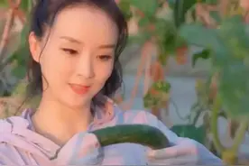 明星下地干农活群像，王宝强掰苞米，王艳化浓妆戴手套，差距立现图片