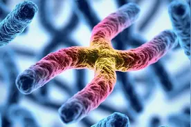 研究表明：能活多久取决于基因遗传，人类的寿命一出生就决定了？图片