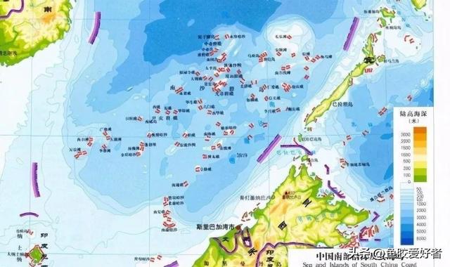 便宜花胶与贵花胶的区别 2026年便宜花胶与贵花胶的区别在哪