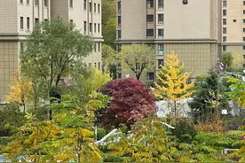董事长在年终工作总结会议上的讲话图片