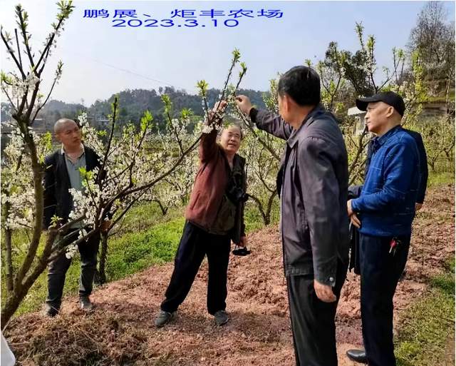 四川省民生研究会新媒体中心-官网