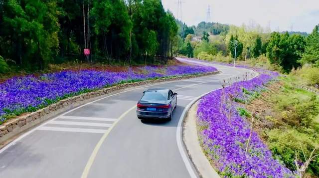 四川省民生研究会新媒体中心-官网