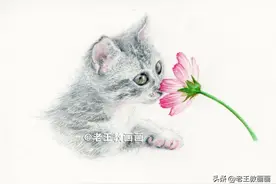 零基础也可以画彩铅，教你画一只猫咪图片
