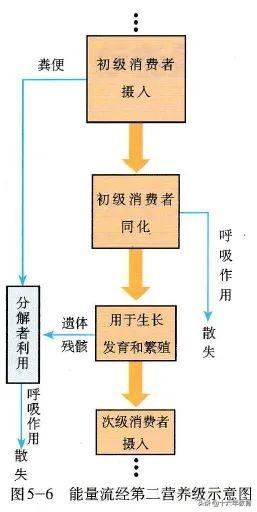 高中生物重要生化知识图解记忆（建议收藏）