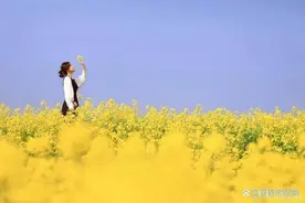 一个家庭如果出现这些吉兆，那说明是老天赐财了！图片