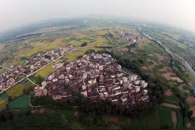 象州十八怪图片