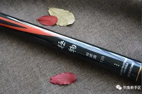 钓巨物中国十大名竿排行榜图片