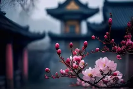 您相信“算命”吗？我的这次经历至今没忘！图片