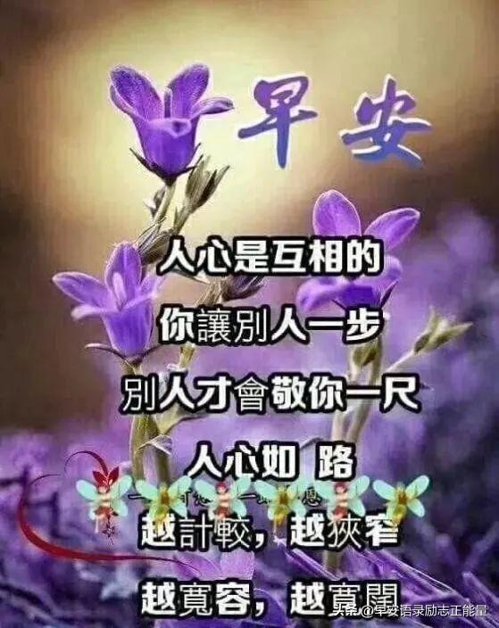 最新唯美语录，励志早安心灵鸡汤问候语，句句激励人心的早安句子