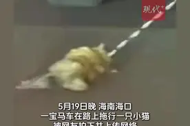 官方通报海南宝马车拖行小猫：确认为意外情况，未发现故意伤害猫的行为图片