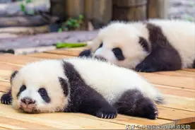 串串香、钵钵鸡、担担面、藤藤菜、把把烧，四川美食为啥这么萌？图片