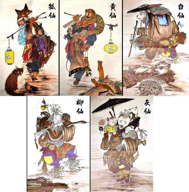 黄鼠狼被称为“黄大仙”，进家门千万不能打，原来还有科学依据？