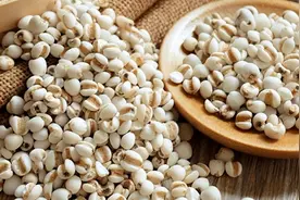 薏米的“黄金搭档”，坚持泡水喝，祛除湿气，脾胃也好了图片