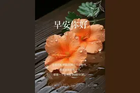 早安问候图片｜一路有你，温暖无比图片