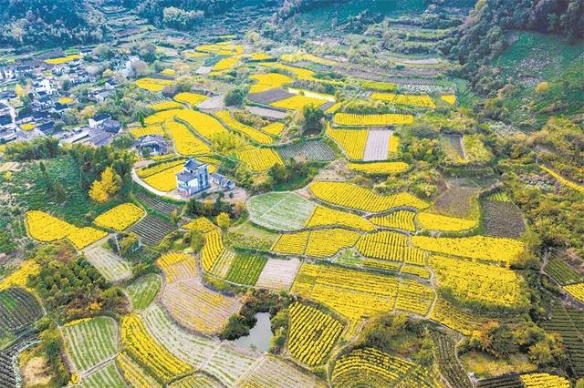 拍点发现 | 梯田风景,光影韵律