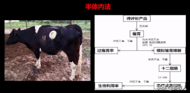 「学习笔记」卜登攀研究员：过瘤胃氨基酸生物利用率评价与利用