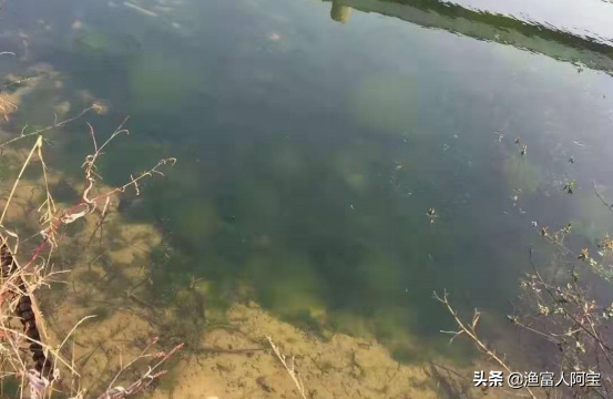 肥水肥不好，90%是因为这个原因