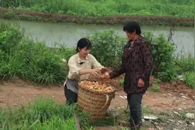 第一次做电商，重庆女孩因为太紧张，挖空5个村3000斤土豆图片