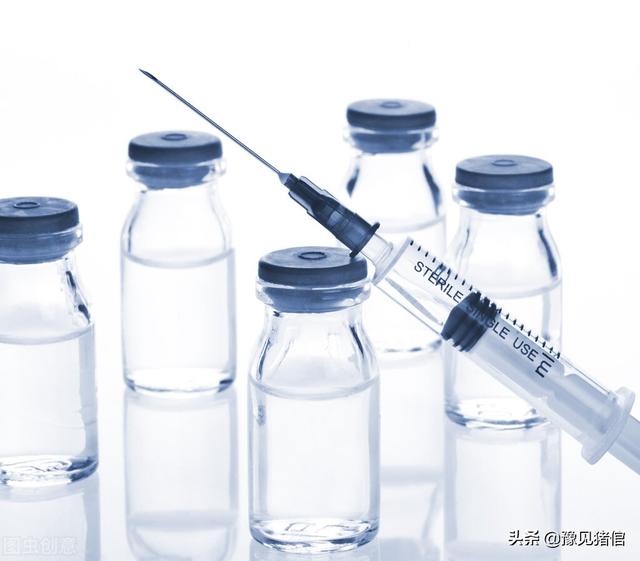 兽医知识：比较几种常用退烧药特点和区别，看完才知怎么用！收藏