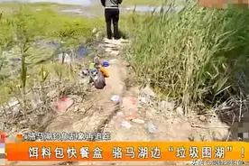 骆马湖“脏了”！钓鱼人醒醒吧，如此行径，不禁你们钓都说不过去图片