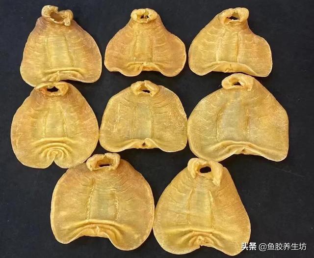 大口鳘鱼胶的功效 2026年大口鱼胶是什么 大口鳘鱼胶的功效 2026年大口鱼胶是什么