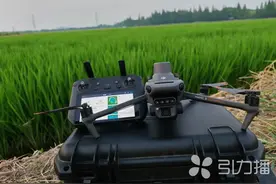 苏州昆山：施肥何须“肩上背”自有无人机在“天上飞”图片