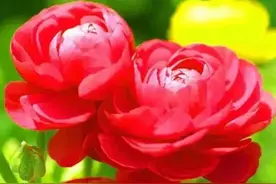 一个男人这样对你，那就是爱，是入心入骨的深爱，别不懂图片