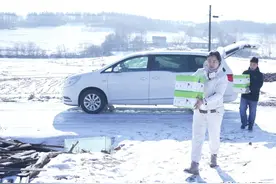 磐石市明城镇草莓园里“春意闹”，免费熊蜂授粉技术送到家图片