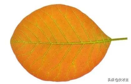߻֮θݻĿȷݣעЩ⣿