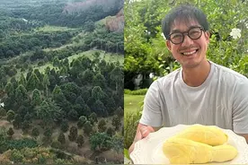 隐藏富豪？泰国知名男星Weir斥资800万铢置地种水果图片