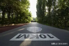 当生活失序时，跑步如何让我们重拾节奏图片