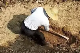 65年老汉挖出铜坐龙，夜晚发出怪声，专家10元征收，今成镇馆之宝图片