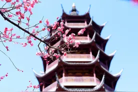 上海魔都、无锡甜都、镇江醋都，常州是嗲都图片