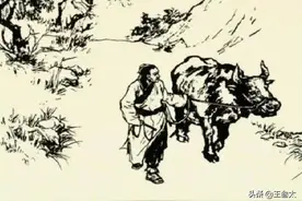 民间故事：老人卖牛，黄牛跪拜，死后黄牛衔草撞棺，老人再度还阳图片