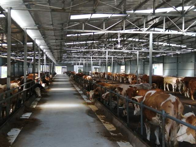 四川省民生研究会新媒体中心-官网