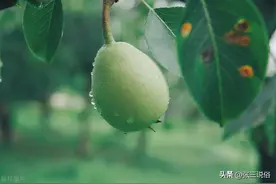 老话“夏至五月头，大旱在后头”：今年夏至啥情况？老话准吗？图片