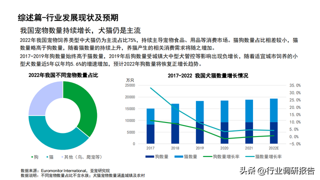 2022���й�������ҵ��չ���棨�����ߡ������ŵꡢ�г�����