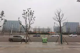 不可失信于民：四川资阳雁江区购房奖励兑付调查丨新春走基层图片