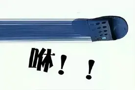 两只狮子打架，饲养员上去就是一拖鞋！网友：像小时候被教育的我图片