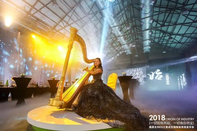 ��˾���߻�������麶�������ҵ�����ESIIIϵͳ������